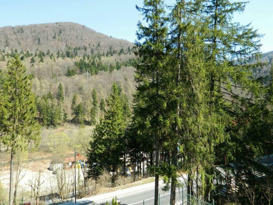 Casa Cristian Villa Sinaia Eksteriør bilde